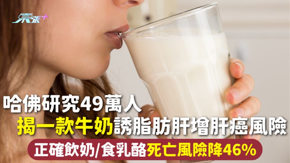 致癌飲品 | 哈佛研究49萬人 揭一款牛奶誘脂肪肝增肝癌風險 正確飲奶/食乳酪死亡風險降46%