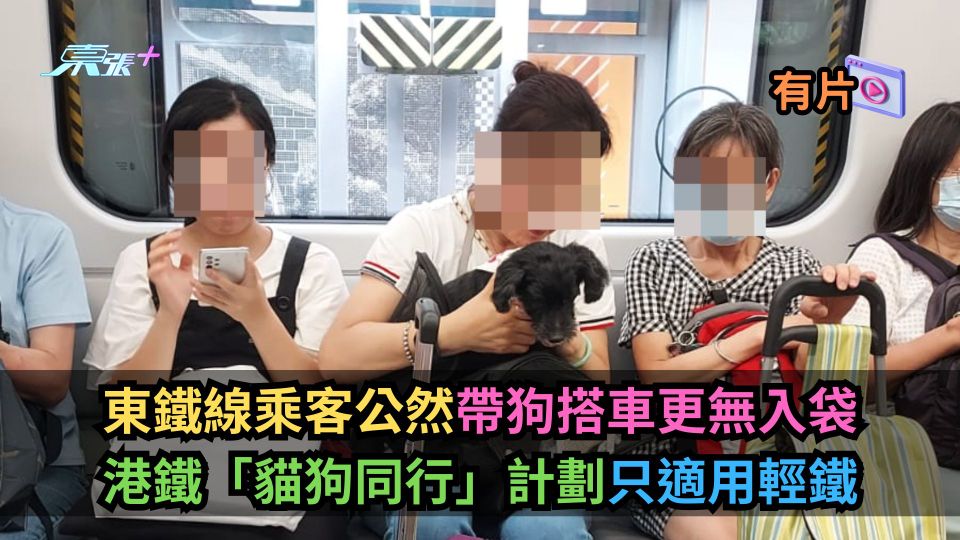 東鐵線乘客公然帶狗搭車更無入袋　港鐵「貓狗同行」計劃只適用輕鐵-東張+