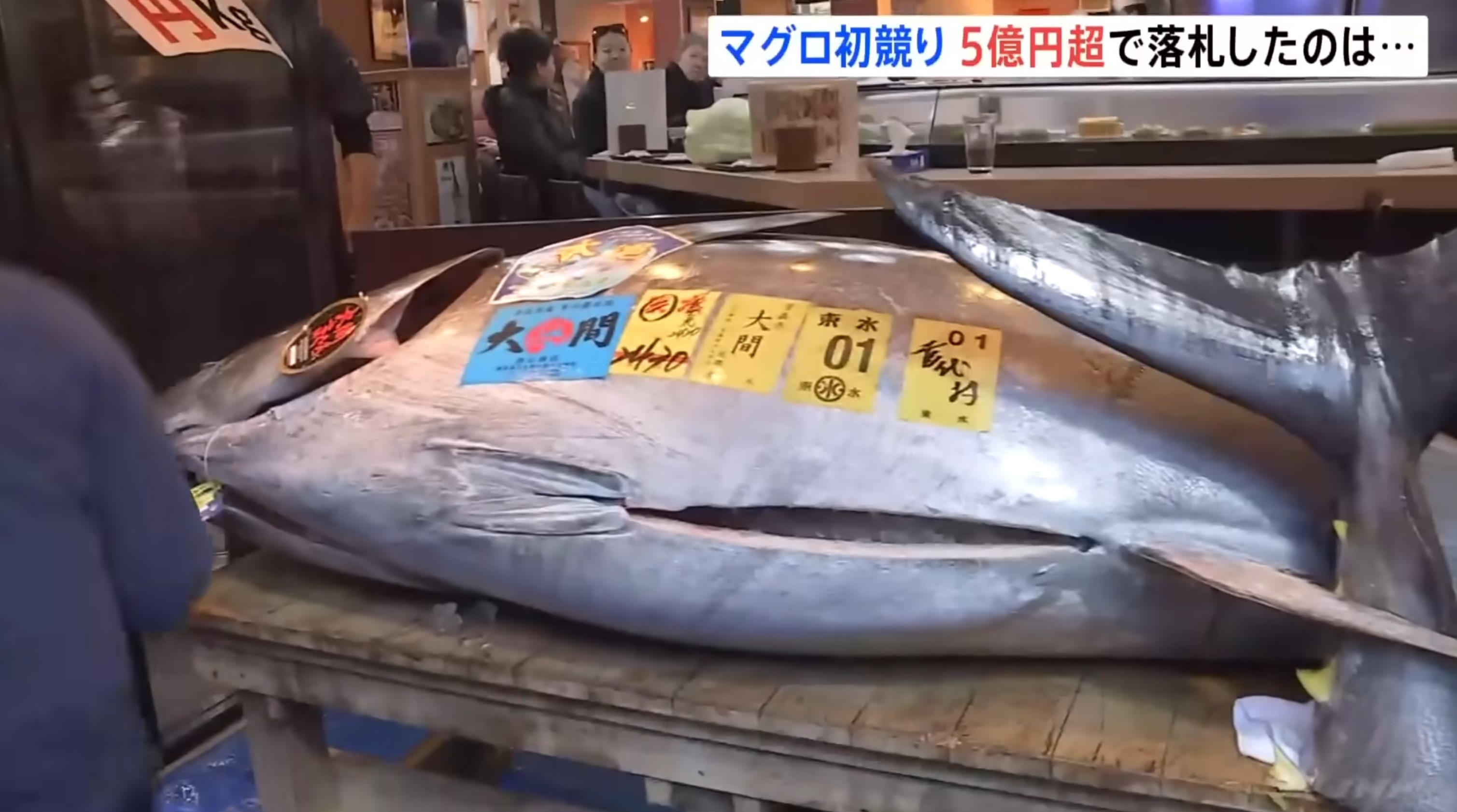 拍出最高價的「一番鮪」是青森縣大間產的黑鮪魚，成交價高達5億1030萬日圓（約2530萬港元）。（YouTube影片截圖／TBS NEWS DIG Powered by JNN）