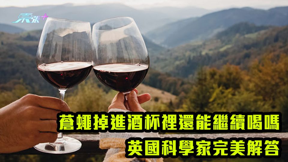 蒼蠅掉進酒杯裡還能繼續喝嗎 英國科學家完美解答