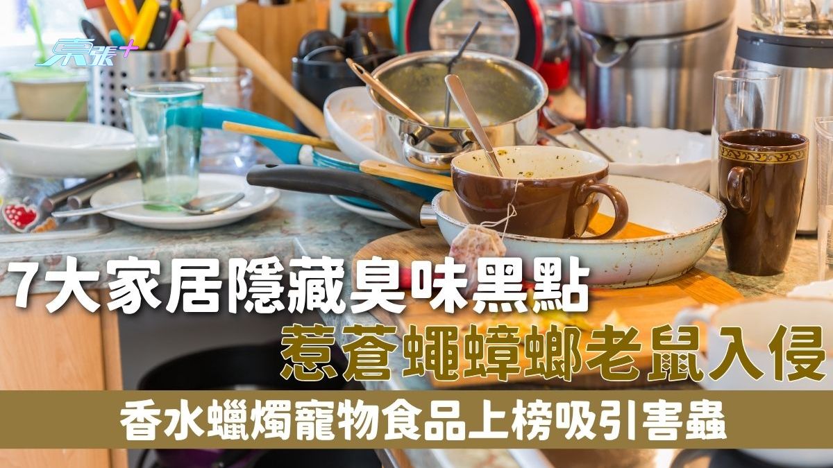 家居卫生｜7大家居隐藏臭味黑点 惹苍蝇蟑螂老鼠入侵 香水蜡烛宠物食品上榜吸引害虫