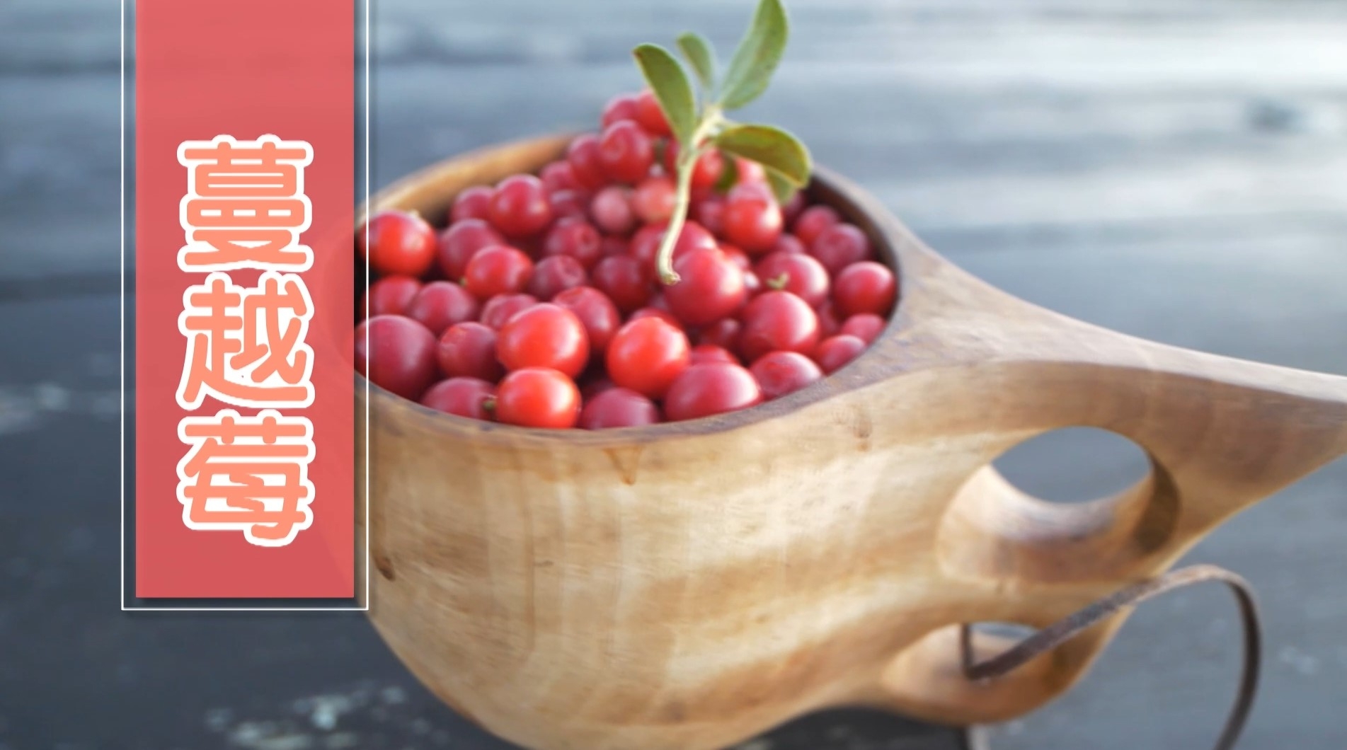 蔓越莓亦可以減少細菌依附在尿道，所以服用益生菌，再配合高濃度蔓越莓的話，就能大大減低感染，以及翻發機會