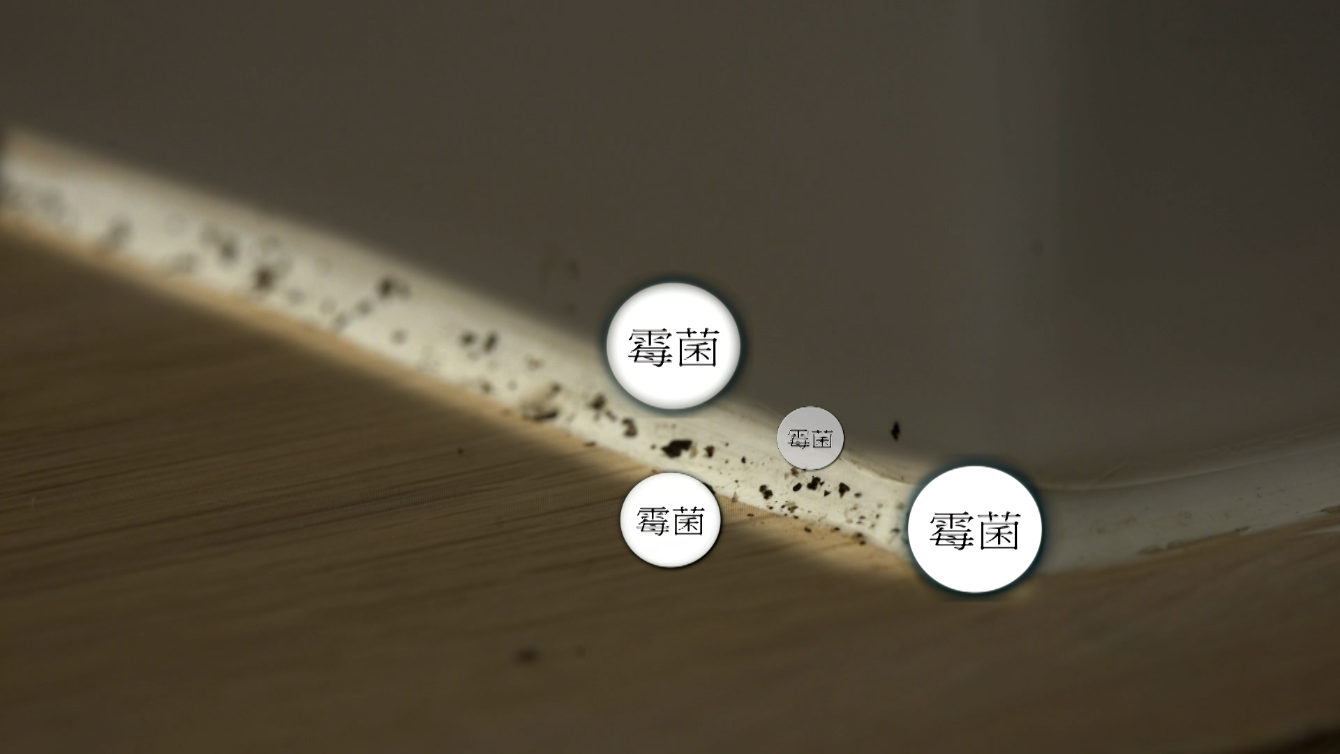 如果浴室沒有窗戶，或者關上窗，空氣不流通，這麼潮濕的環境，不只夏天，就連冬天，浴室也可能會出現很多「黑客」！是黑漆漆和一塊塊的霉菌呀！  