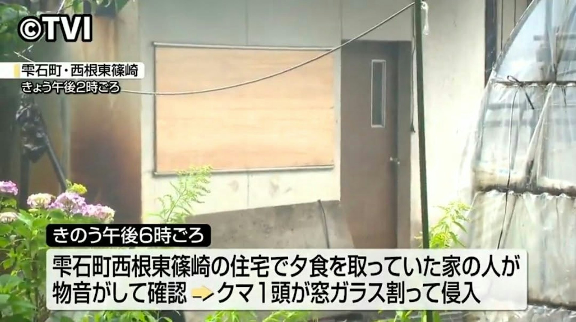 日本岩手县雫石町西根东筱崎一处民居一周内四度遭野熊闯入。（网上图片）