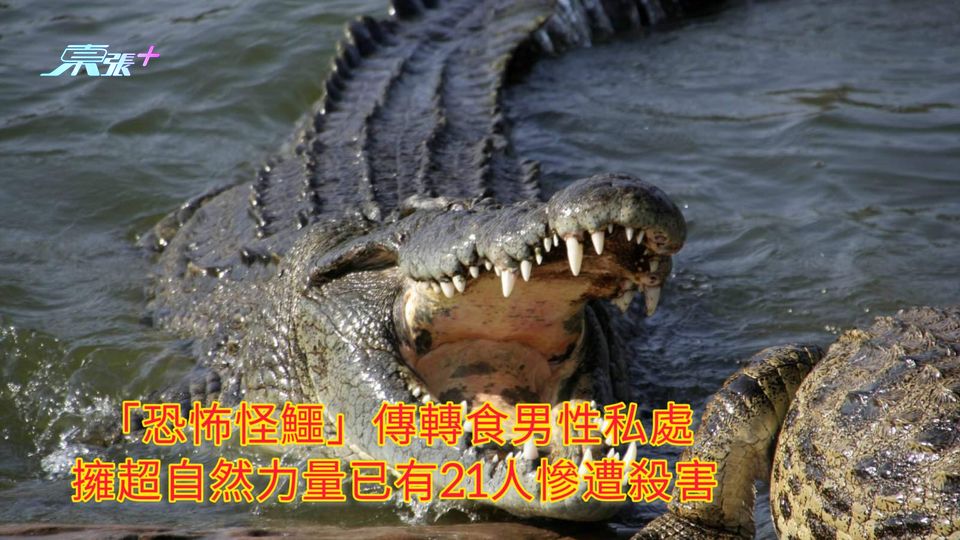 「恐怖怪鱷」傳轉食男性私處 擁超自然力量已有21人慘遭殺害