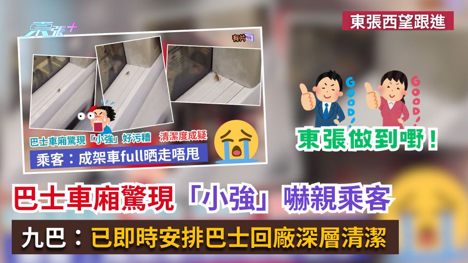東張西望跟進｜巴士車廂驚現「小強」嚇親乘客　九巴：已即時安排巴士回廠深層清潔