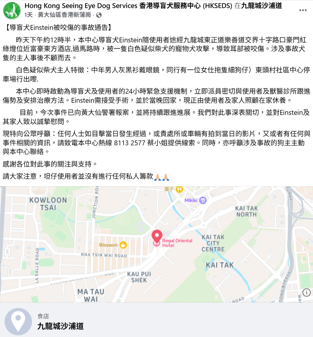 九龍城導盲犬慘遭白色柴犬咬傷　被咬甩耳肉「流血不止」 　導盲犬中心籲提供線索 (Threads@ying.ying1031)