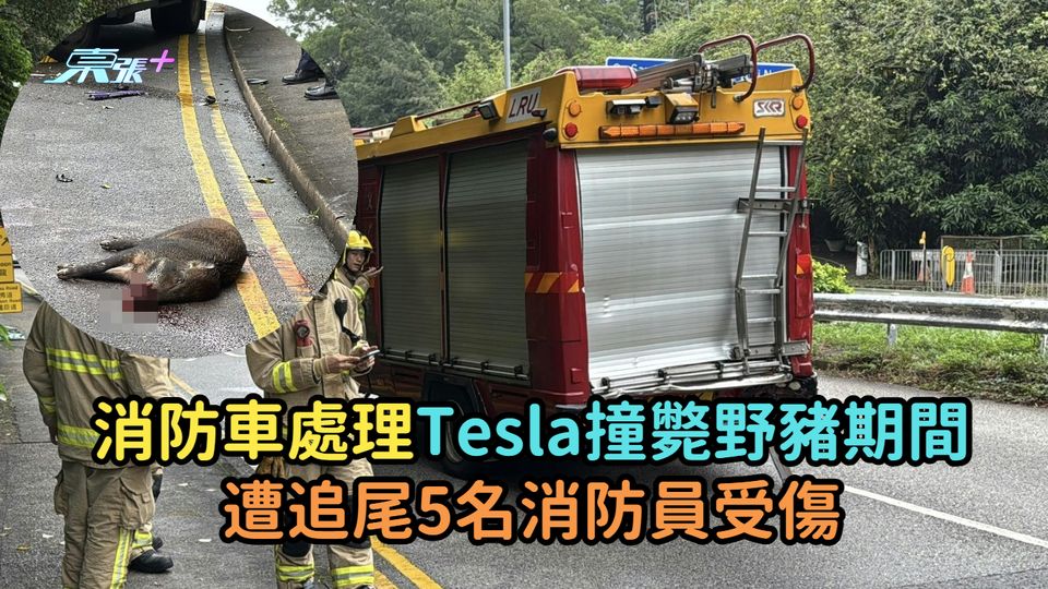 消防車處理Tesla撞斃野豬期間  遭追尾5名消防員受傷