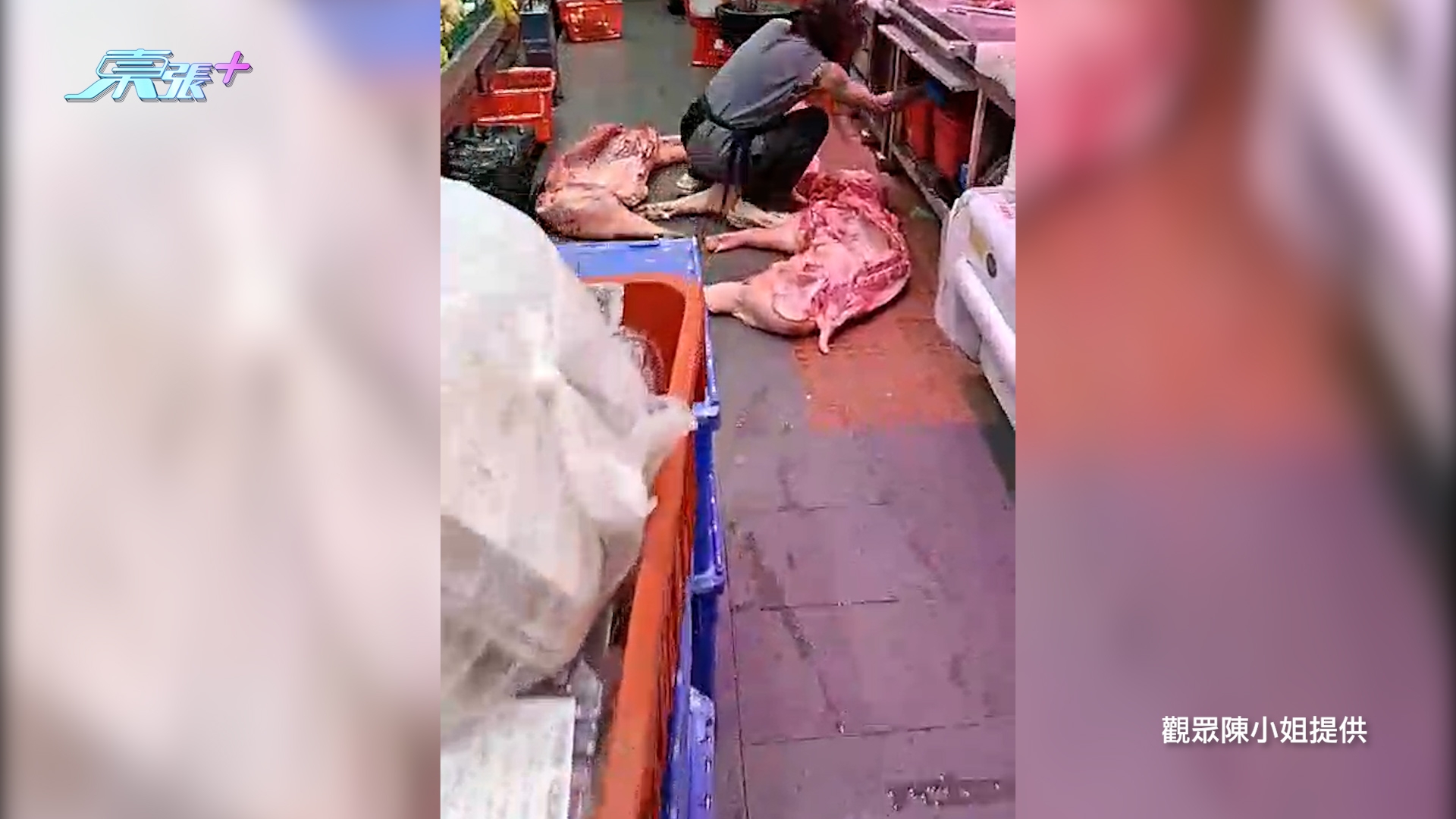 東張西望報料｜元朗肉食店疑地上劏豬　生肉直接放地處理　街坊震驚報東張揭發 （觀眾陳小姐報料）