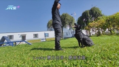 吉林市「傳奇警犬」屢建功勳  訓導員視作「無言至親」