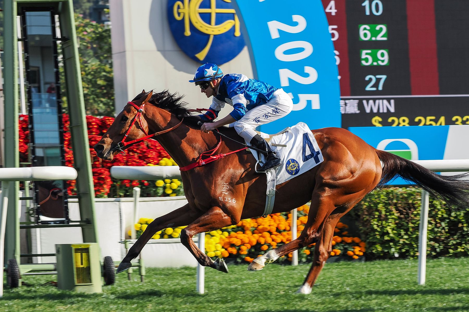 目前本港合法賭博有賽馬足球等