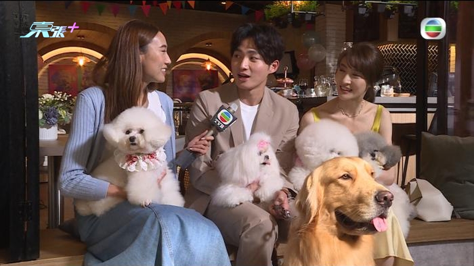 林夏薇周嘉洛《 寵愛Pet Pet 》與狗拍戲惹家中愛犬呷醋