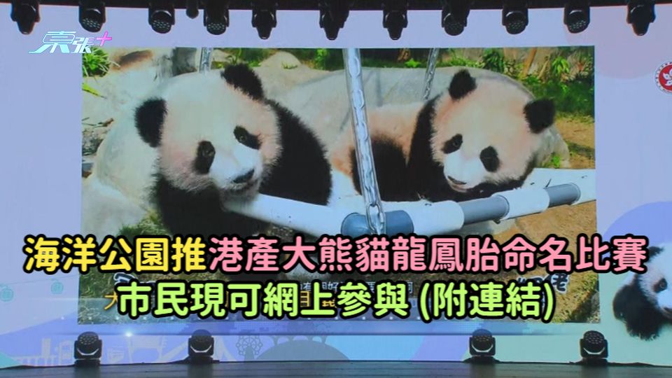 海洋公園推港產大熊貓龍鳳胎命名比賽  市民現可網上參與 (附連結)