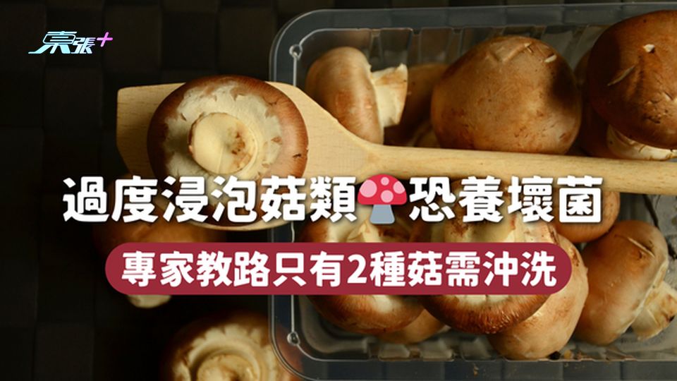 過度浸泡菇類🍄恐養壞菌 專家教路只有2種菇需沖洗