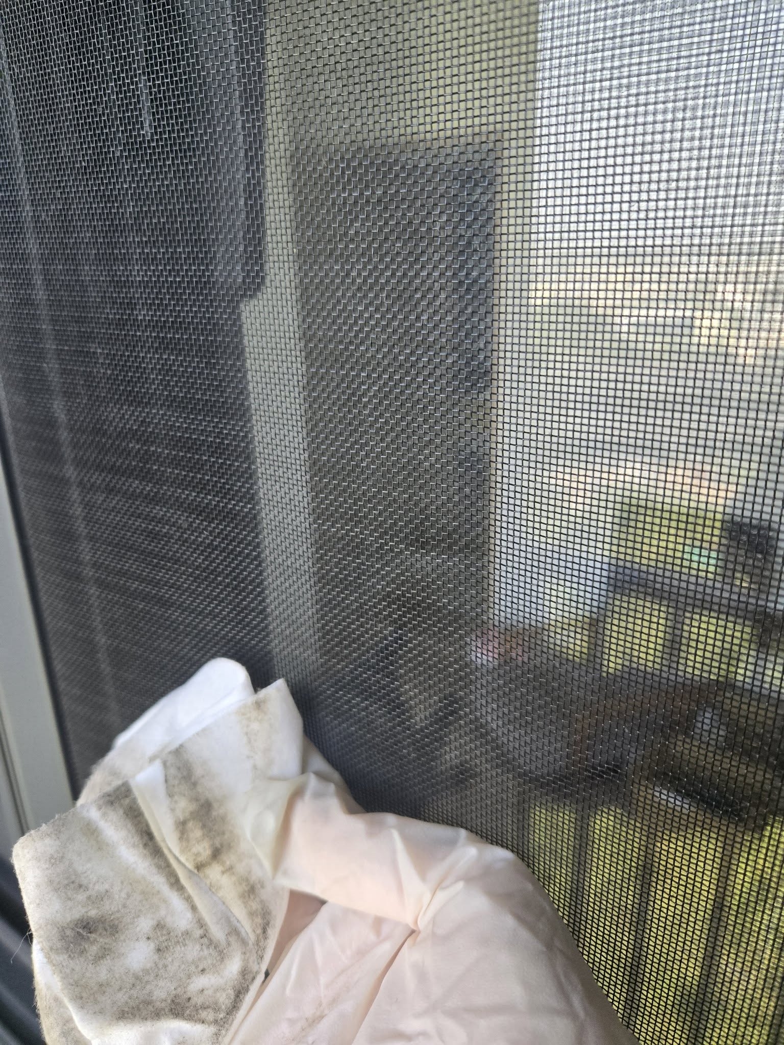 May be an image of mosquito net