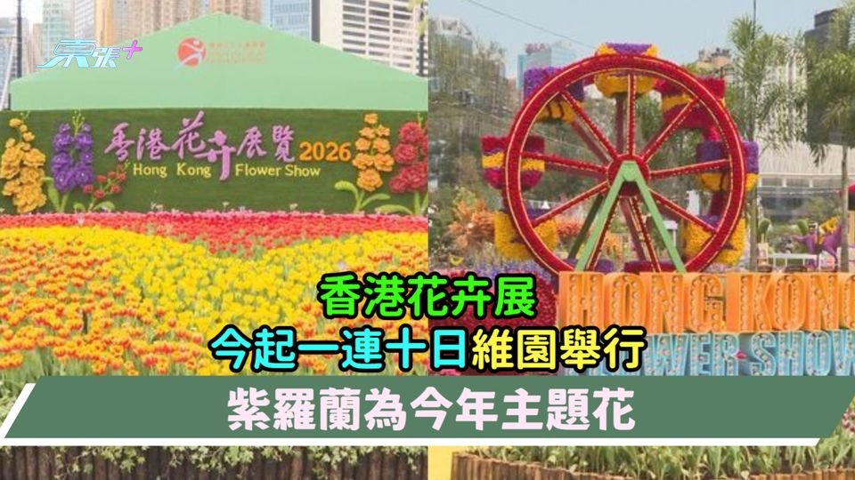 香港花卉展一連十日維園舉行  紫羅蘭為今年主題花