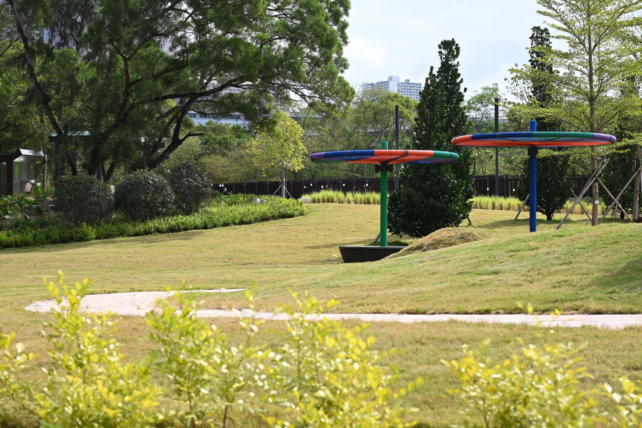 May be an image of grass