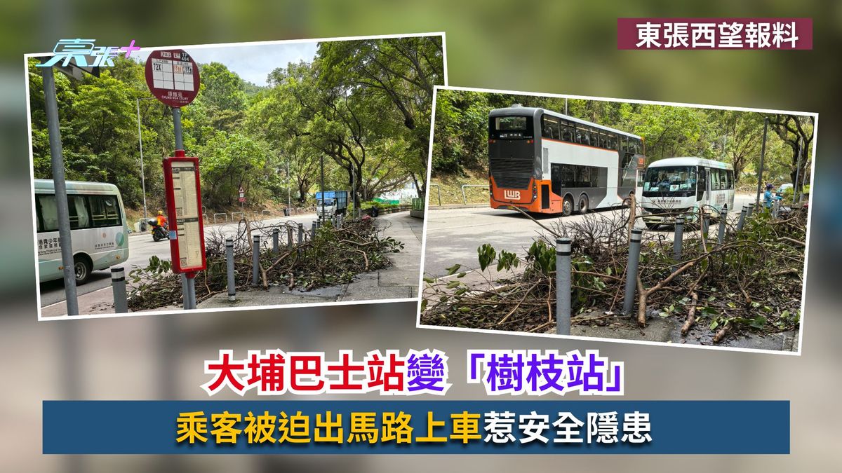 東張西望報料｜大埔巴士站變「樹枝站」　乘客被迫出馬路上車惹安全隱患