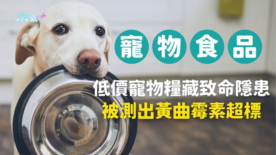 內地低價寵物糧竟藏致命隱患，黃曲霉素超標，一文即睇防範方法 #至識健康