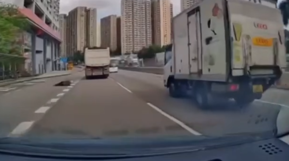 車Cam直擊｜泥頭車黃大仙與電單車起碰撞　鐵騎士飛出車外勁驚險