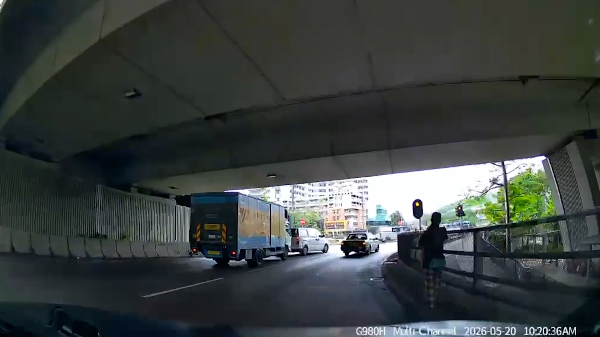 車Cam直擊｜好人好事！元朗柴犬誤闖迴旋處險被撞　司機落車徒手捉狗救命 （FB@車cam L（香港群組））