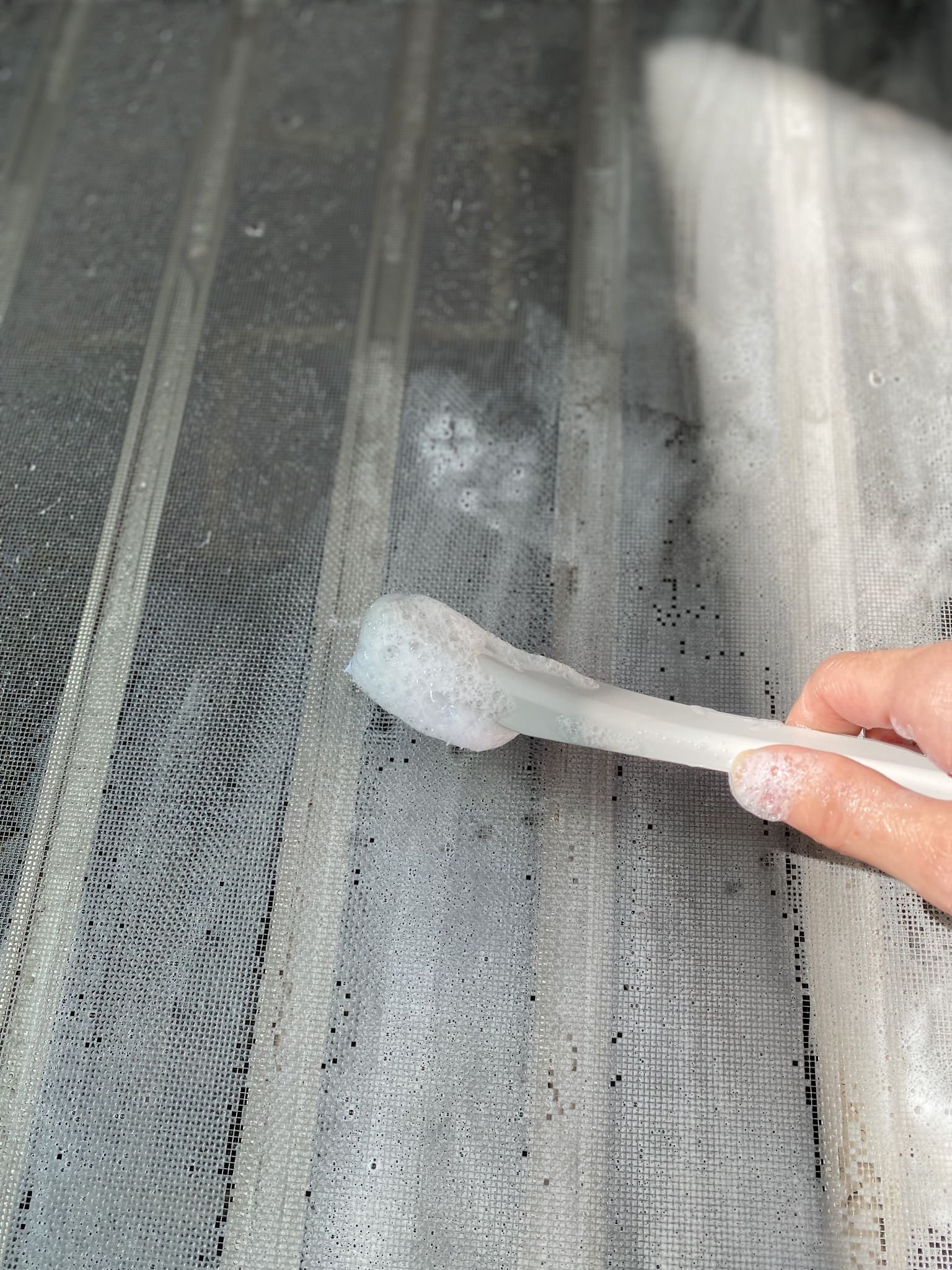 可能是蚊帳的圖像