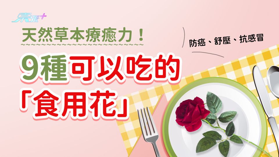 天然草本療癒力！9種可以吃的「食用花」防癌、舒壓、抗感冒