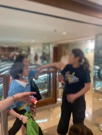 排隊黨MMA｜3女子金鐘運輸署霸位內訌衝突　阿婆膠袋出手狠擊「蛇頭」