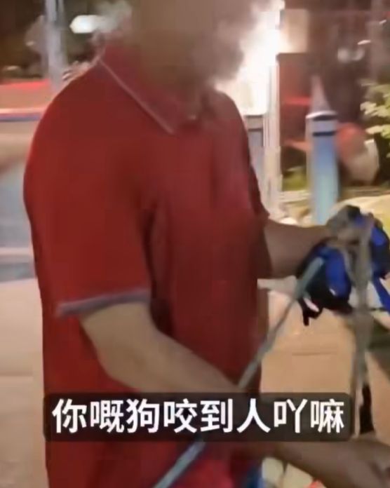 屯門男子被指故意放繩讓愛犬追咬流浪狗　狗義工呼籲停止傷害