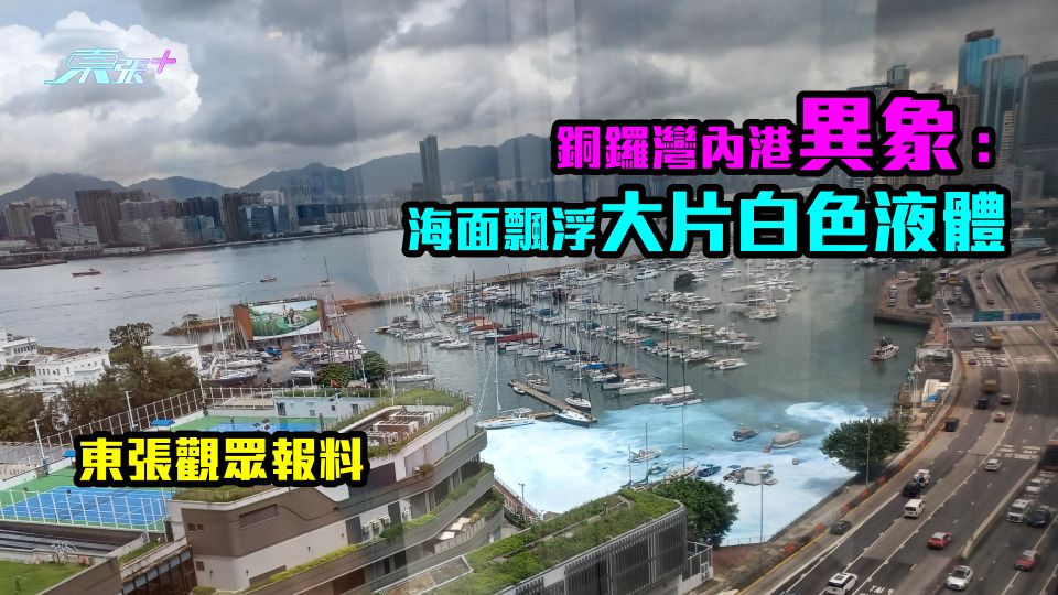 東張觀眾報料｜銅鑼灣內港異象：海面飄浮大片白色液體