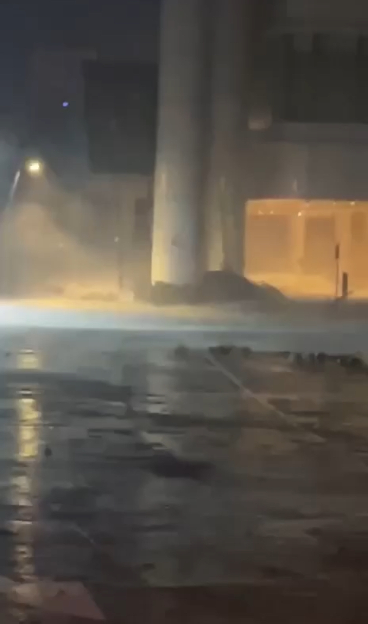 颱風樺加沙｜洪水湧入富麗敦海洋公園酒店事發一刻，市民「成個海咁」。（網上影片截圖）