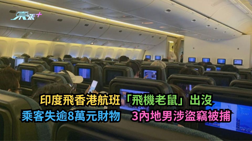 印度飛香港航班「飛機老鼠」出沒　乘客失逾8萬元財物　3內地男涉盜竊被捕