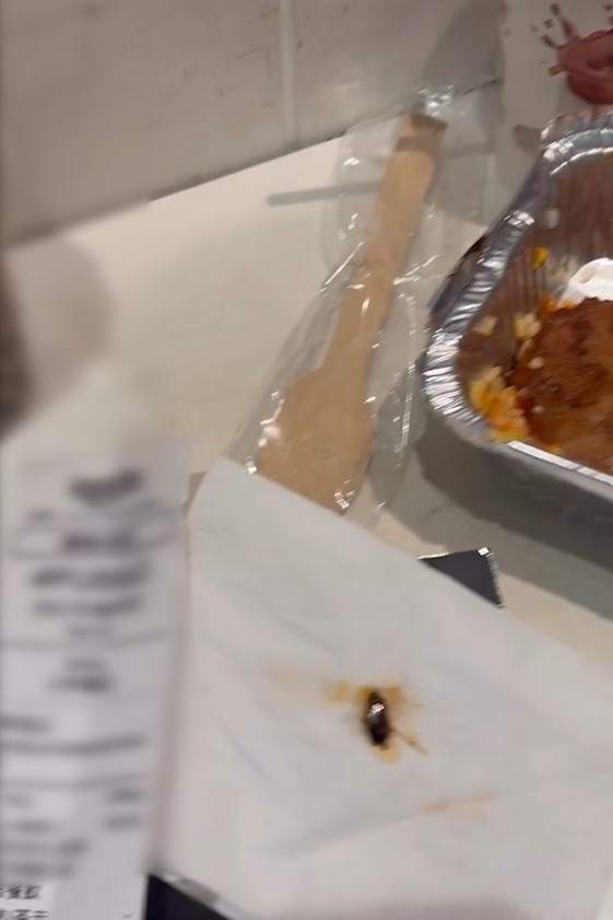 東張西望報料｜旺角MOKO韓國餐廳外賣現全隻曱甴　事主：屙五次嘔三次