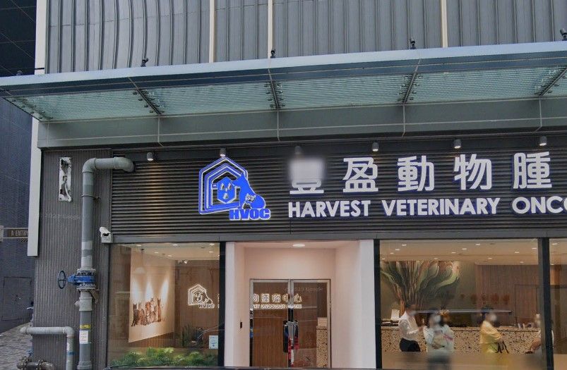 葵涌一間獸醫診所揭發一宗虐待動物案。(Googlemap)