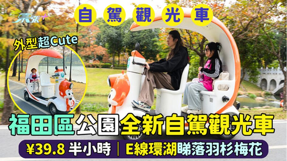 福田深圳中心公園全新自駕觀光車🚗¥39.8半小時🌳｜E線環湖睇落羽杉🍂梅花🌸