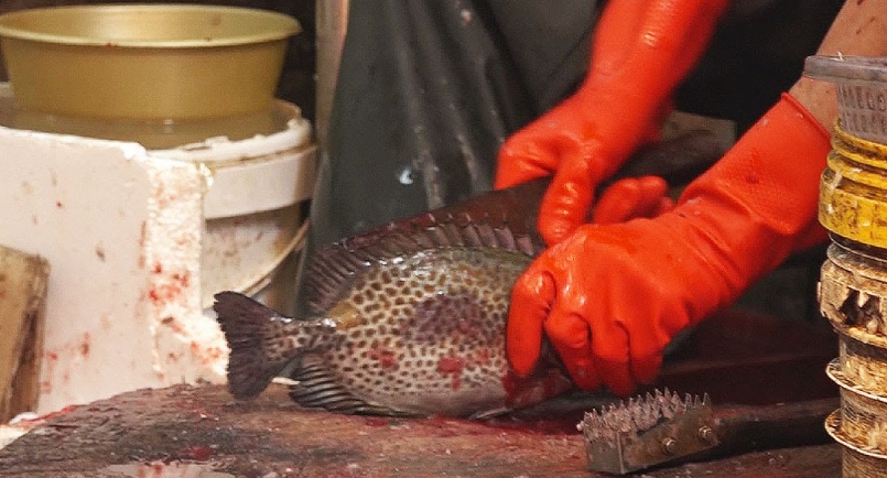 應徵售貨員變「劏魚」