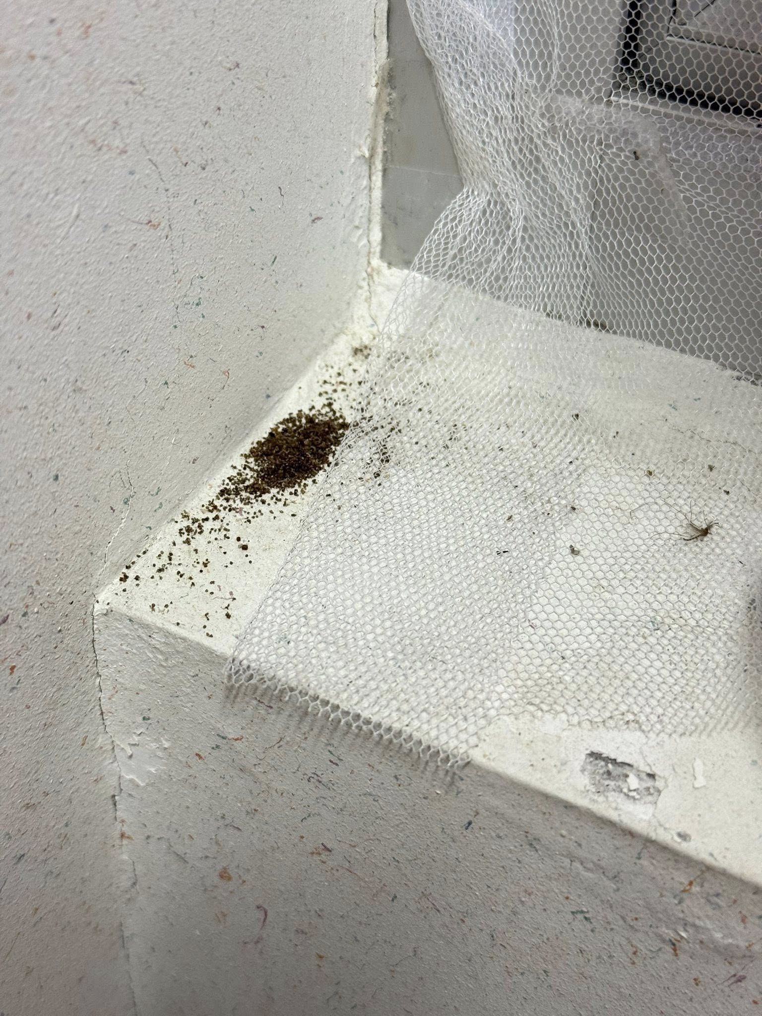 May be an image of tea