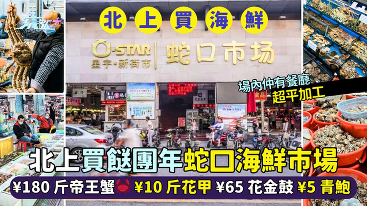 🦐北上买𩠌团年蛇口海鲜市场🛍️ ¥180斤帝王蟹🦀¥10斤花甲🦪¥65花金鼓🐠¥5青鲍