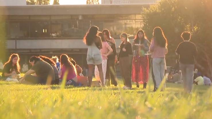 加州大學栢克萊分校