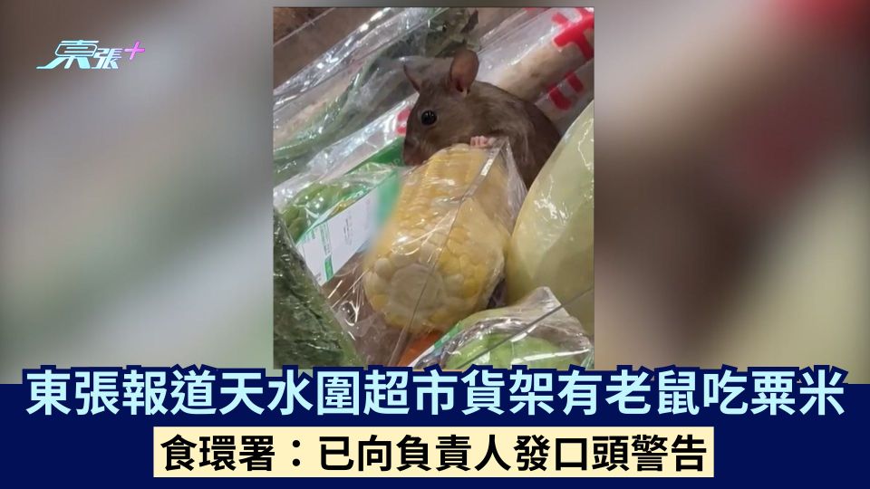 東張報道天水圍超市貨架有老鼠吃粟米 食環署：已向負責人發口頭警告