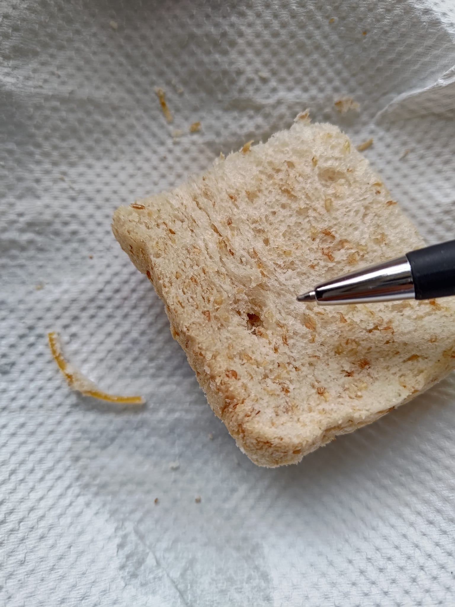 有觀眾向《東張+》報料，表示自己從粉嶺聯和墟的「協香麵包西餅店」購買了麥方包後，在進食麵包時發現麥方包內有橡筋。（報料觀眾提供圖片）