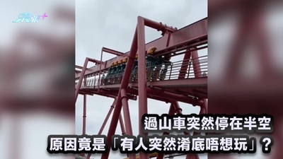 有片｜過山車突然停在半空 原因竟是「有人突然淆底唔想玩」?