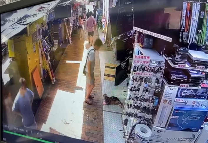 有片｜大叔鴨寮街入店齋唱散$500被拒　其後竟折返原店只為送貓店長兩條「紅衫魚」