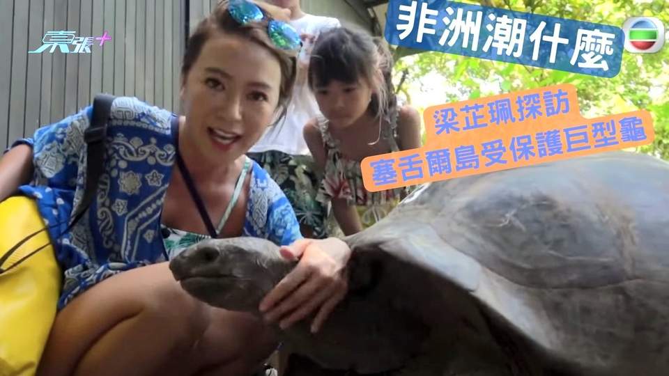 非洲潮什麼｜梁芷珮轉戰塞舌爾島 探訪受保護巨型龜