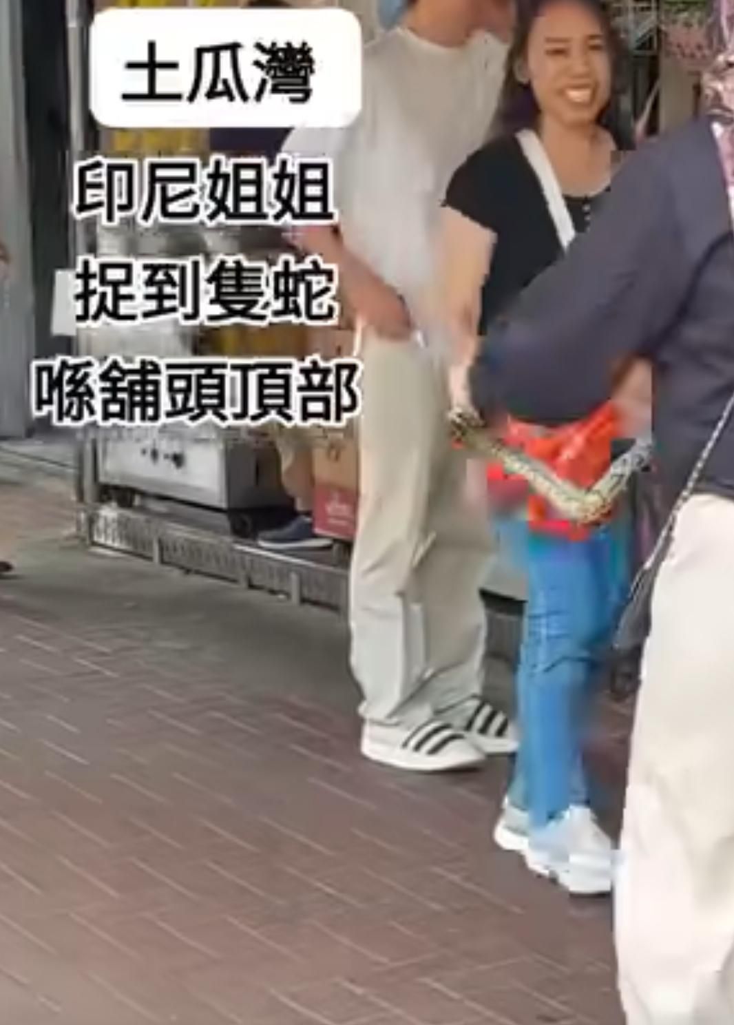 土瓜灣印尼姐姐徒手捉蛇