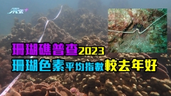 珊瑚礁普查2023結果公布　珊瑚色素平均指數較去年好