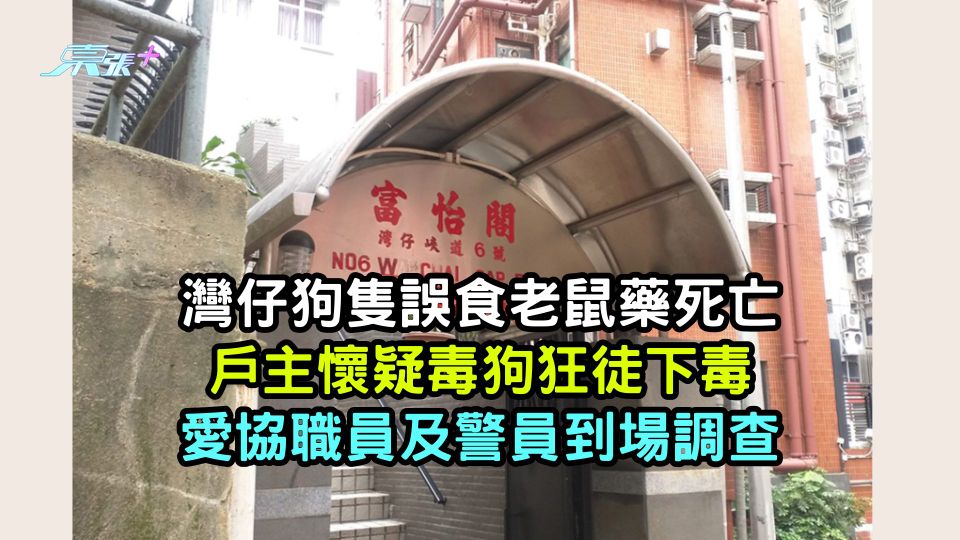 灣仔狗隻誤食老鼠藥死亡 戶主懷疑毒狗狂徒下毒 愛協職員及警員到場調查