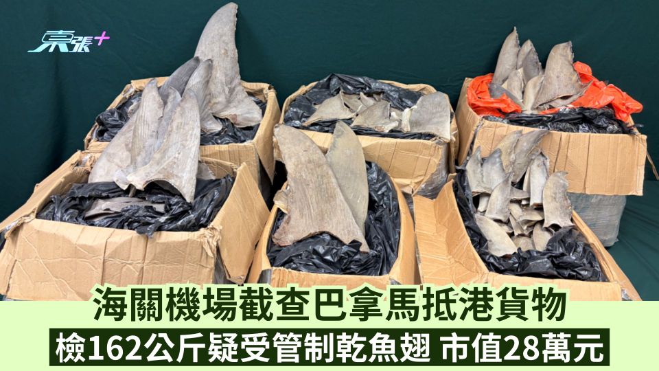 海關機場截查巴拿馬抵港貨物 檢162公斤疑受管制乾魚翅 市值28萬元