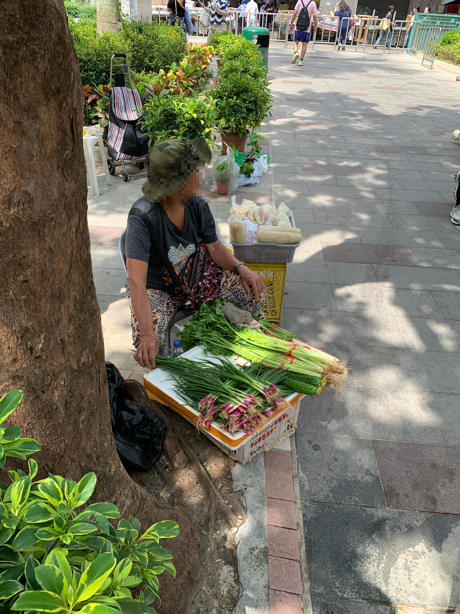 東張西望報料｜上水花園無牌小販霸地「非法經營」擺檔市民報料：好離譜- 東張+