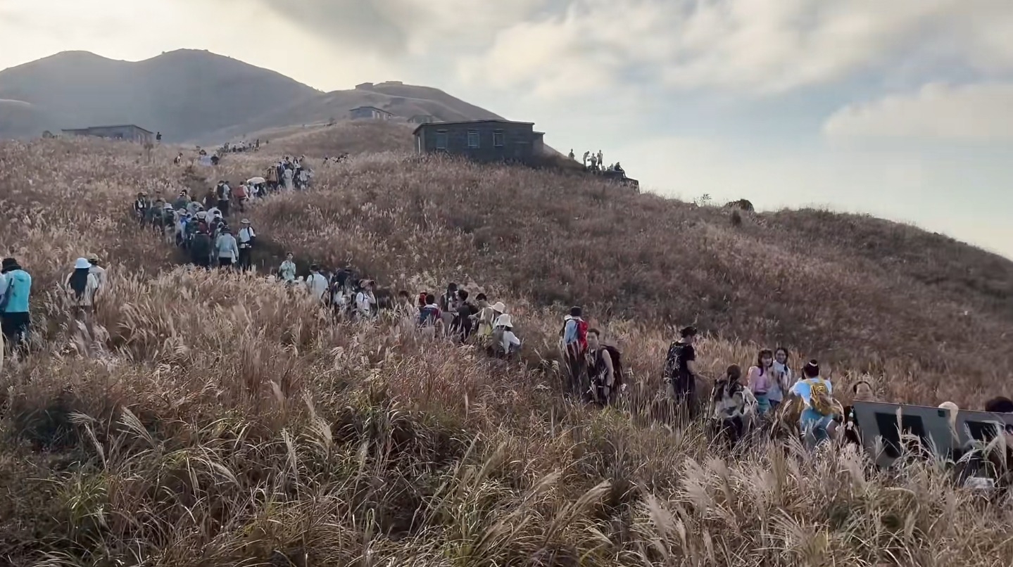 山頭「金色波浪」吸客　人潮從白日到入黑不斷